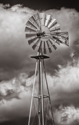 rdl_20120621_6433.jpg