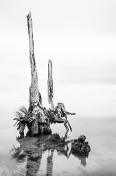 rdl_20140210_6477.jpg
