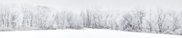 rdl_20110125_9543.jpg