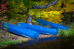 rdl_20140925_1543.jpg