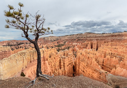 rdl_20150505_7180-HDR.jpg