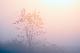 rdl_20200923_7637-Edit.jpg