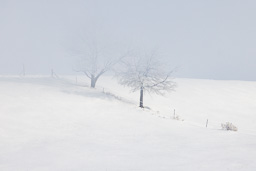 rdl_20210203_4357-Edit.jpg