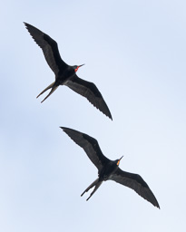 rdl_20230129_5781-CR3_DP.jpg