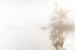 rdl_20081018_6047.jpg