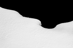 rdl_20120224_9596.jpg
